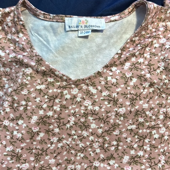 Set of 3 Baileys blossoms toddler girl dresses size 18-24 months - Picture 6 of 7
